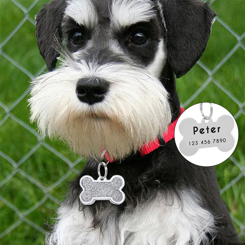 Pet Supplies Wholesale - New Bone Dog Tags Can Be