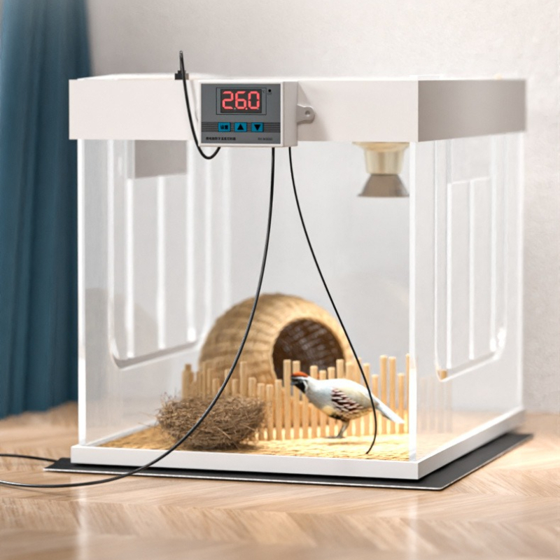 Reptile Heating Mat - USB Temperature Control Timing Reptile Heat