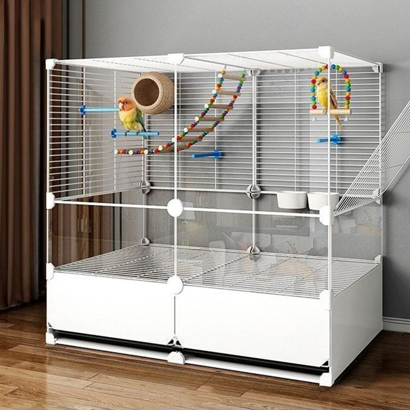 Bird Cage Parrot - Bird Cages Safety Parrot Kiwi Birds