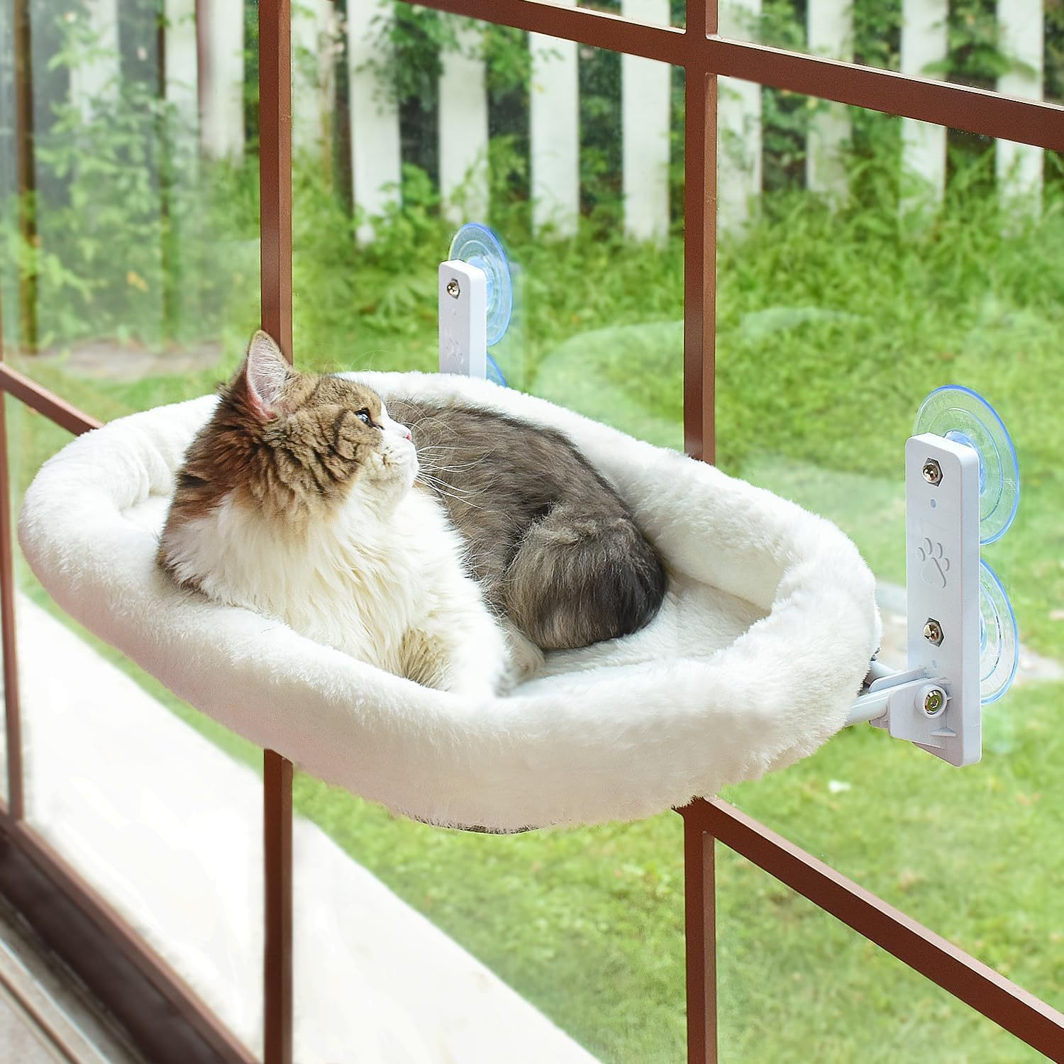 Cat Window Perch - Cat Window Hammock Suction Cup Hanging