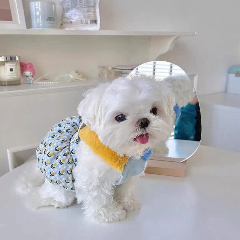 Creative Autumn and Winter Clo - огляд і ціна Pet Supplies For Less