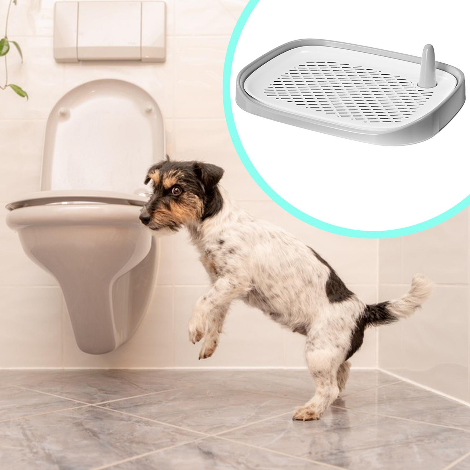 Dog Litter Box Pet Supplies Tr - огляд і ціна Pet Supplies For Less