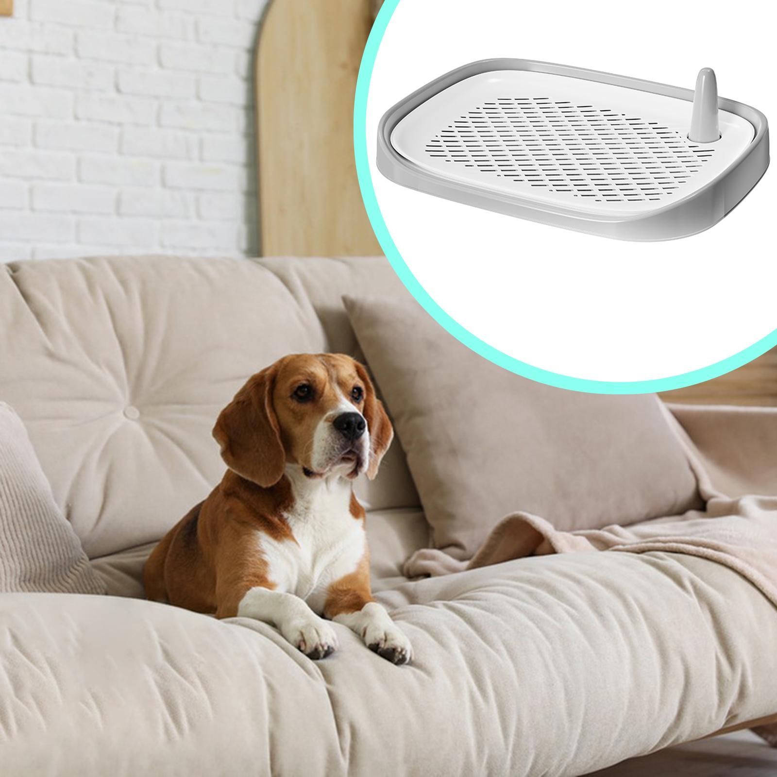Dog Litter Box Pet Supplies Tr - огляд і ціна Pet Supplies For Less