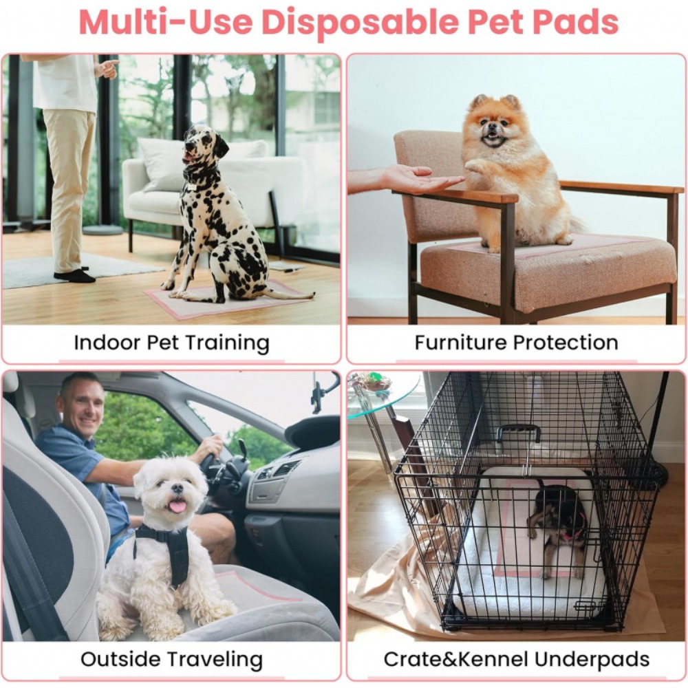100/50/30/20/10Pcs Pet Toilet  - огляд і ціна Pet Supplies Wholesale
