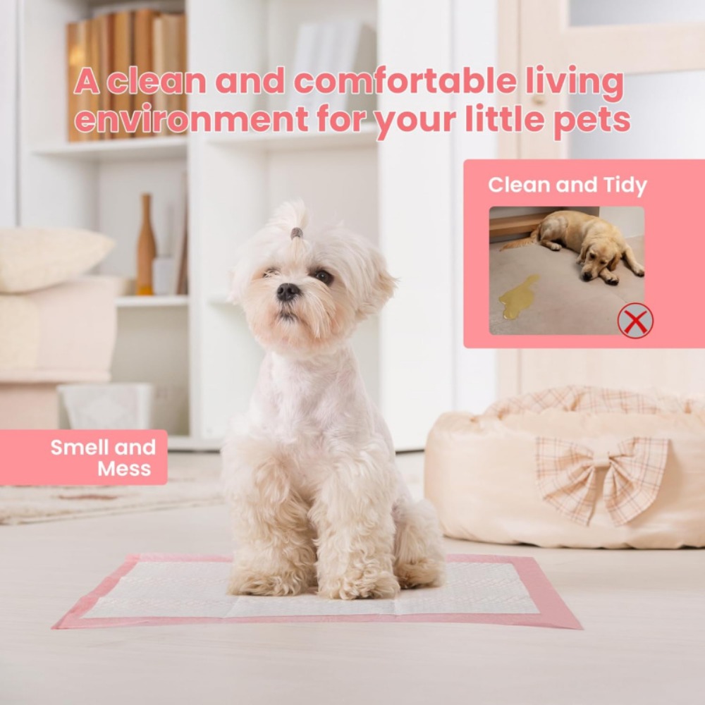 100/50/30/20/10Pcs Pet Toilet  - огляд і ціна Pet Supplies Wholesale