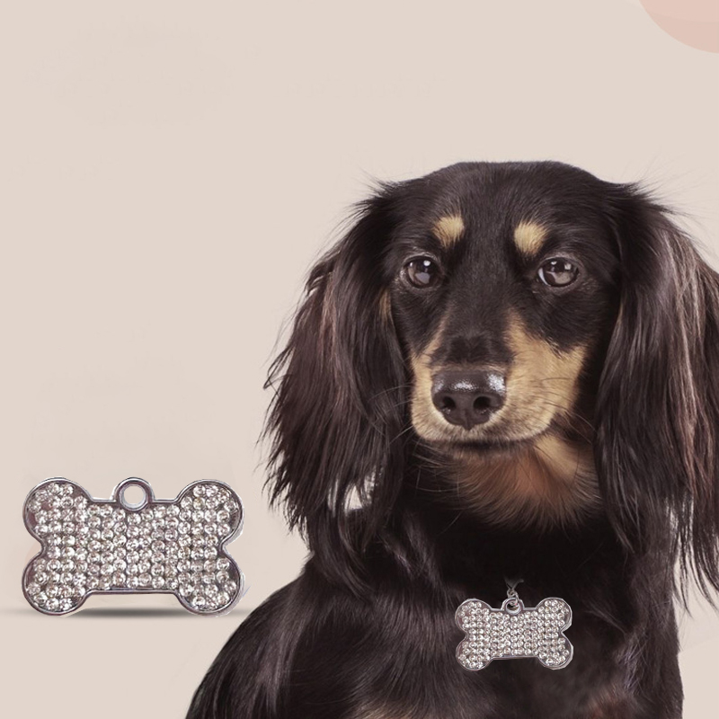 New Bone Dog Tags Can Be Laser - огляд і ціна Pet Supplies Wholesale