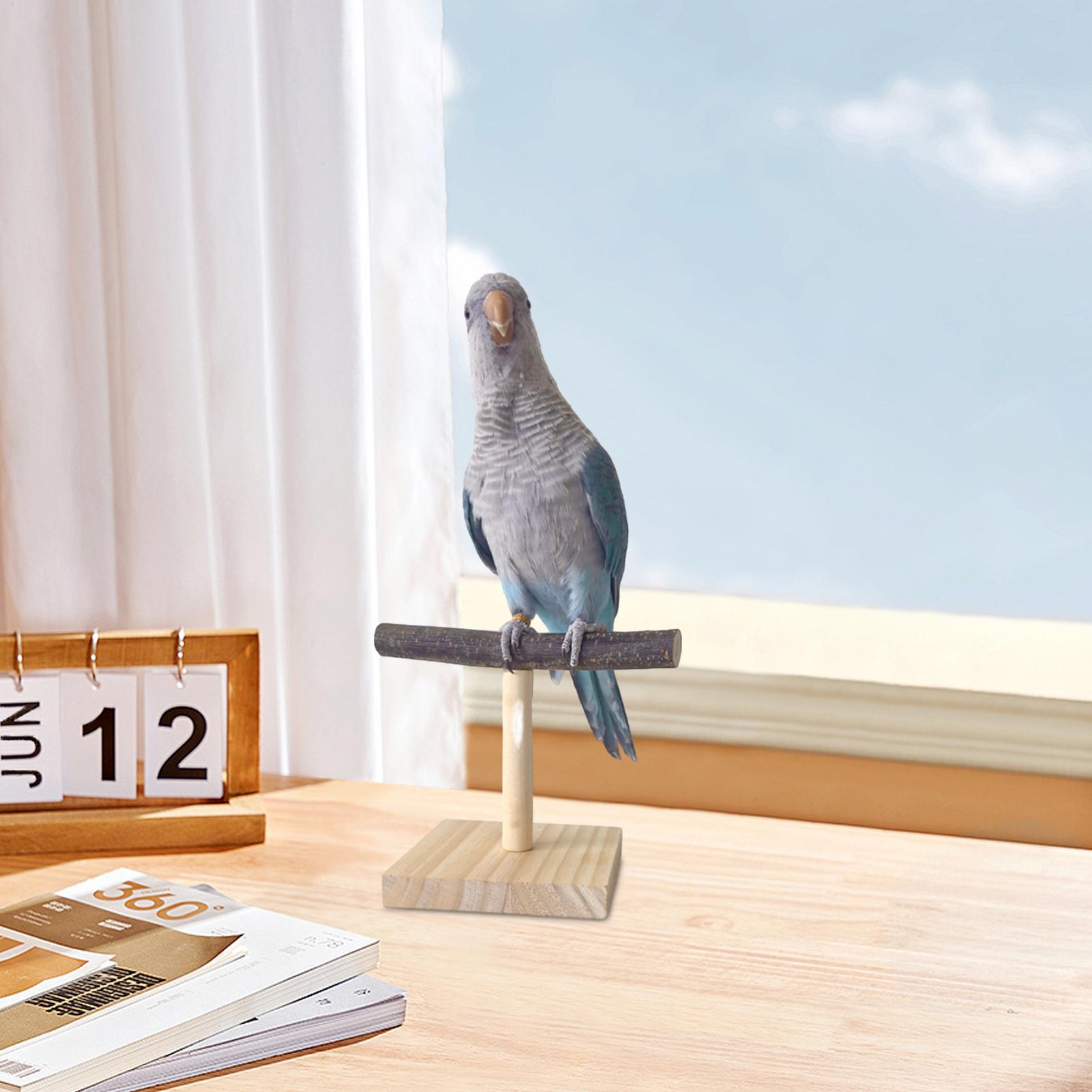 Natural Wood Parrot Perch Stan - огляд і ціна Bird Cage Parrot