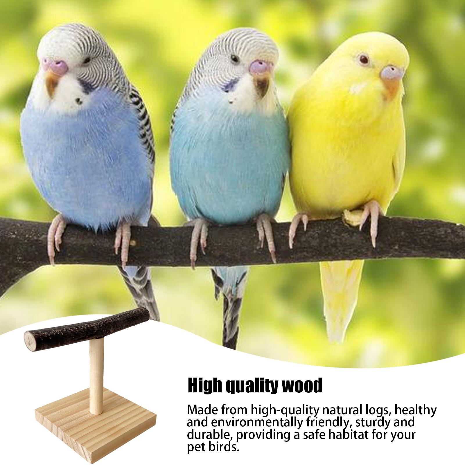 Natural Wood Parrot Perch Stan - огляд і ціна Bird Cage Parrot