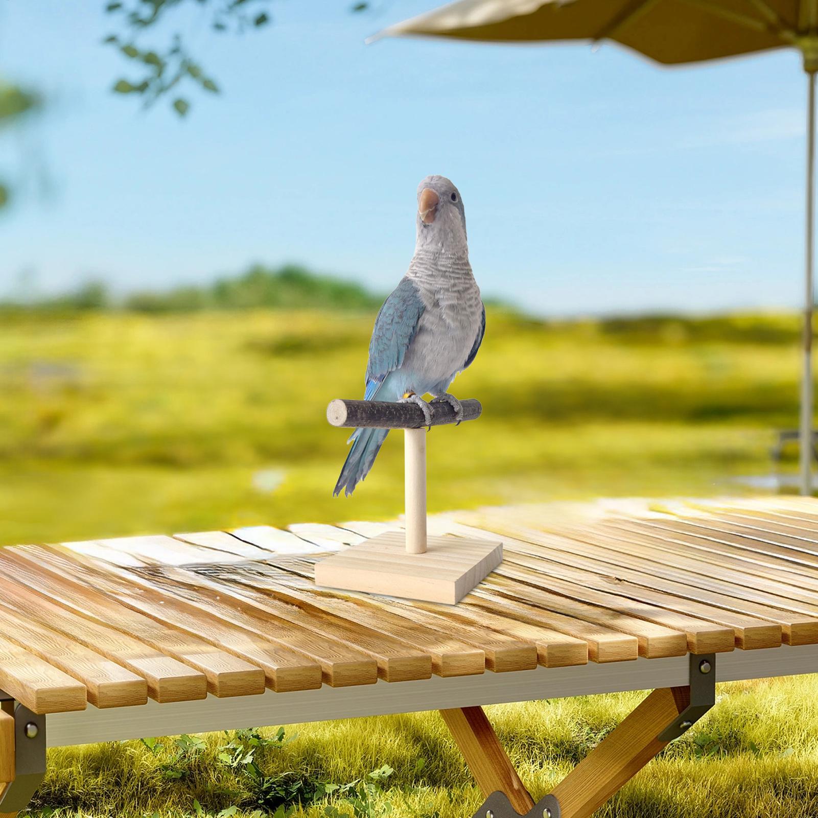 Natural Wood Parrot Perch Stan - огляд і ціна Bird Cage Parrot