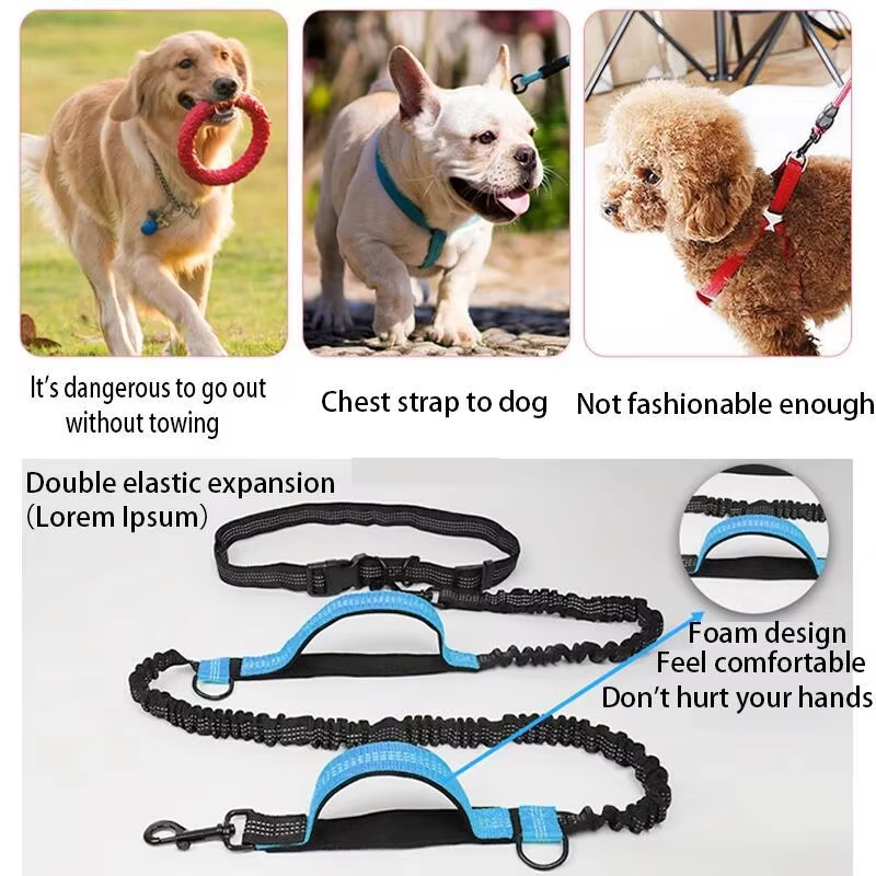 Double Elastic Reflective Runn - огляд і ціна Pet Supplies Wholesale