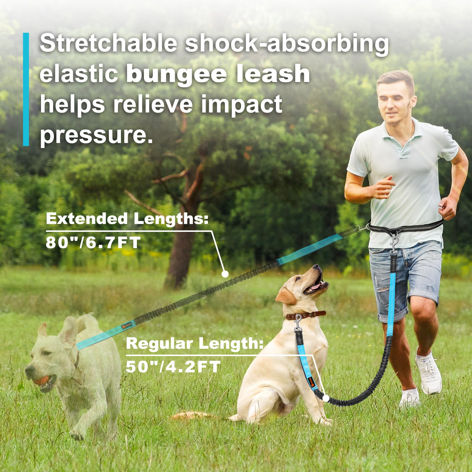 Double elastic reflective runn - огляд і ціна Pet Supplies Wholesale