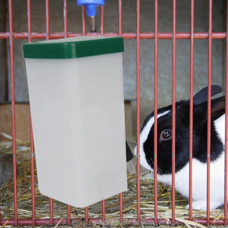 Pet Drinker Water Bottle Dispe - огляд і ціна Pet Supplies Nz