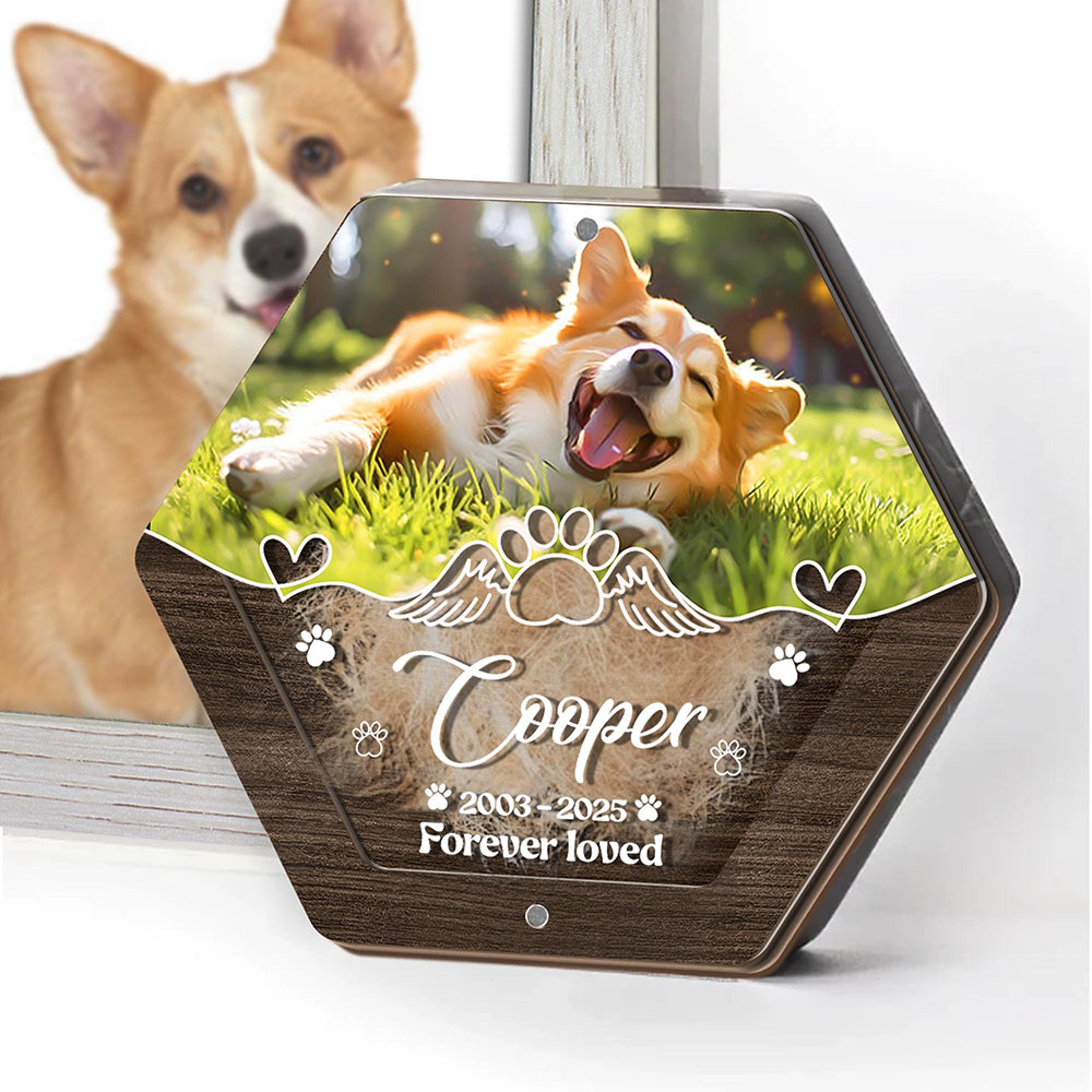 Personalized Name Wooden Carvi - огляд і ціна Pet Supplies Nz