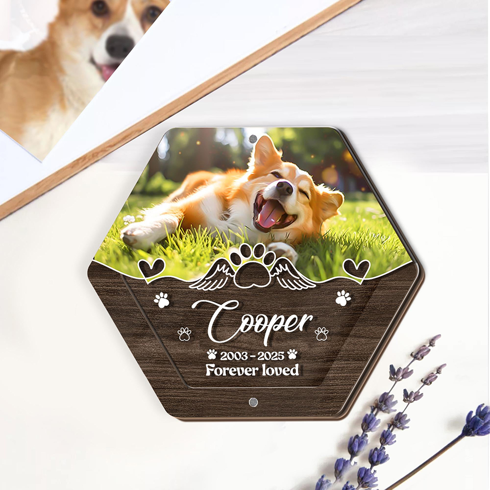 Personalized Name Wooden Carvi - огляд і ціна Pet Supplies Nz