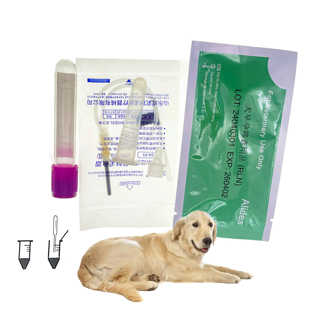 1set/5set Professional Pet Dog - огляд і ціна Pet Supplies Nz