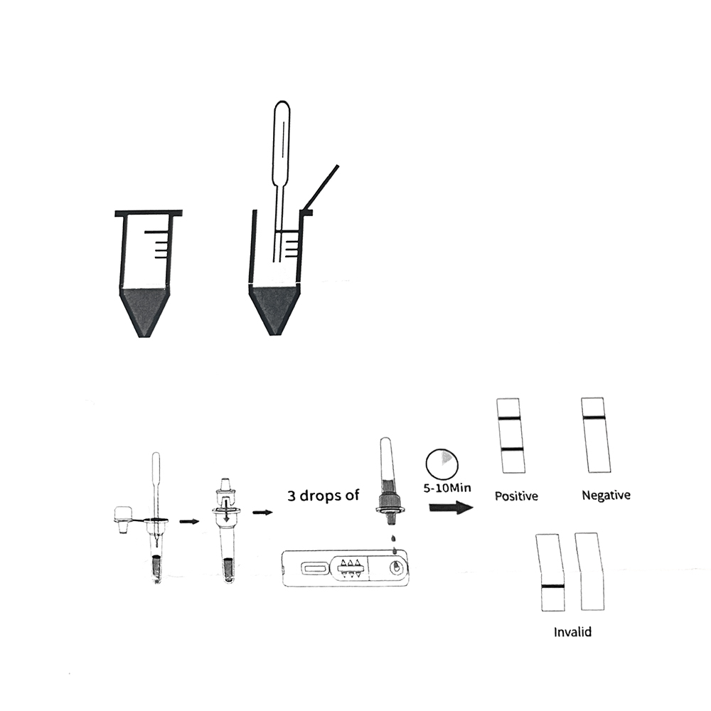 1set/5set Professional Pet Dog - огляд і ціна Pet Supplies Nz