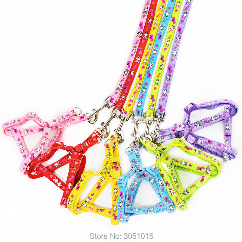 Wholesale 20 pcs Kitten Puppy  - огляд і ціна Pet Supplies Wholesale