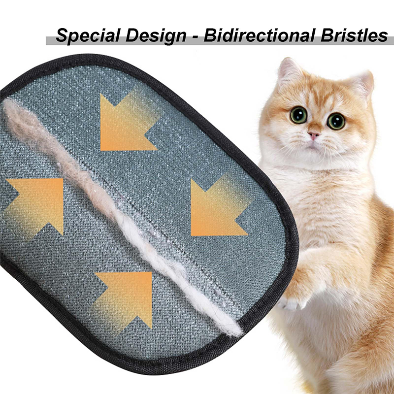 New Electrostatic Pet Grooming - огляд і ціна Pet Supplies Nz