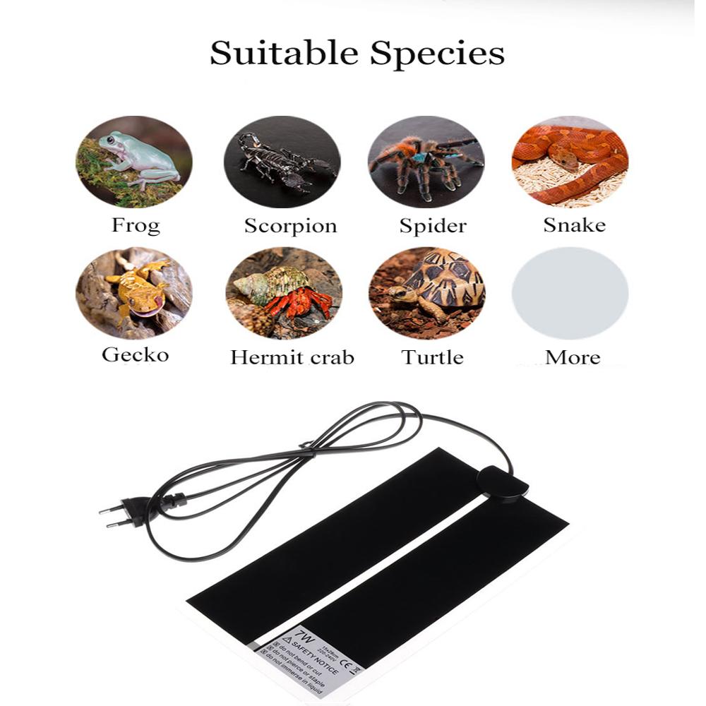 AC110V~240V Reptiles Incubator - огляд і ціна Reptile Heating Mat