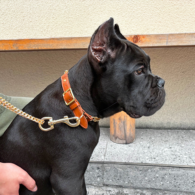 Loudik Wholesale Pet Collar Le - огляд і ціна Pet Supplies Wholesale