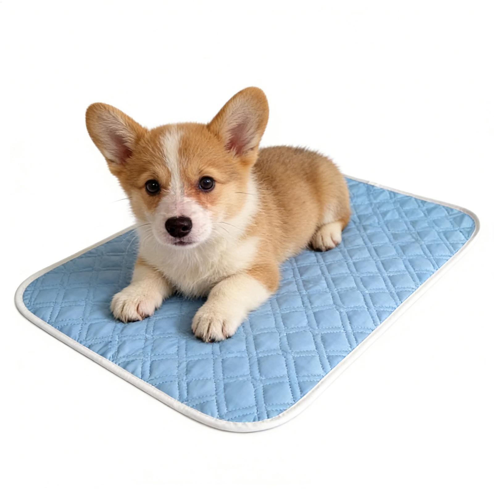 35x45cm Summer Pet Mat Cooling - огляд і ціна Pet Supplies Self Wash