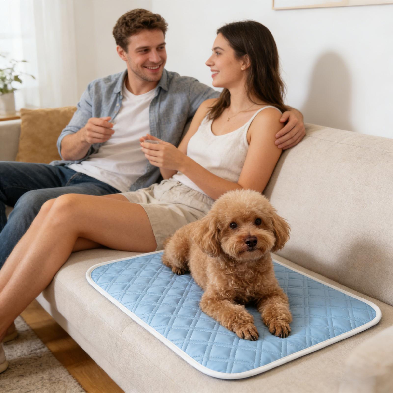 35x45cm Summer Pet Mat Cooling - огляд і ціна Pet Supplies Self Wash