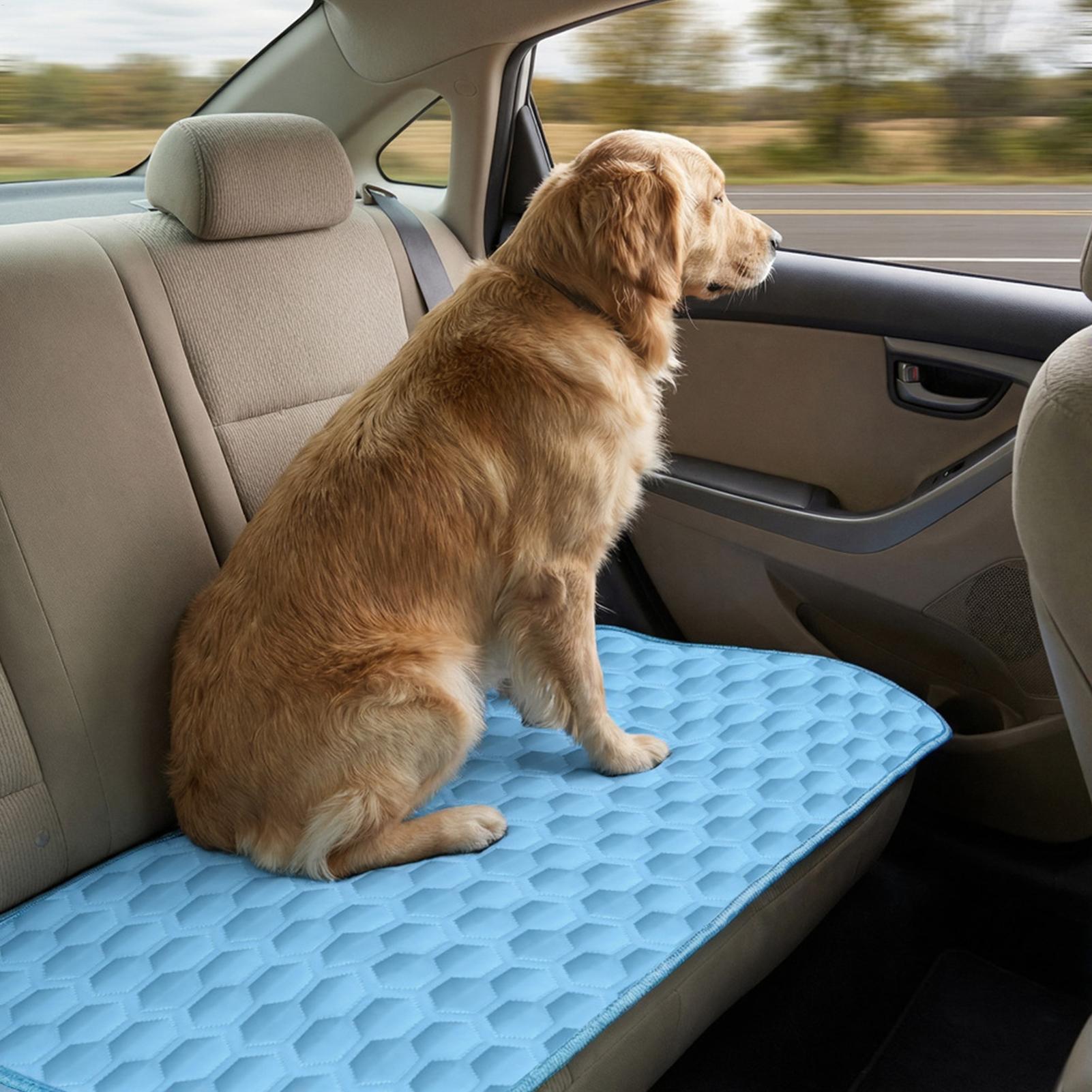 Summer Pet Mat Cooling Dog Pad - огляд і ціна Pet Supplies Self Wash