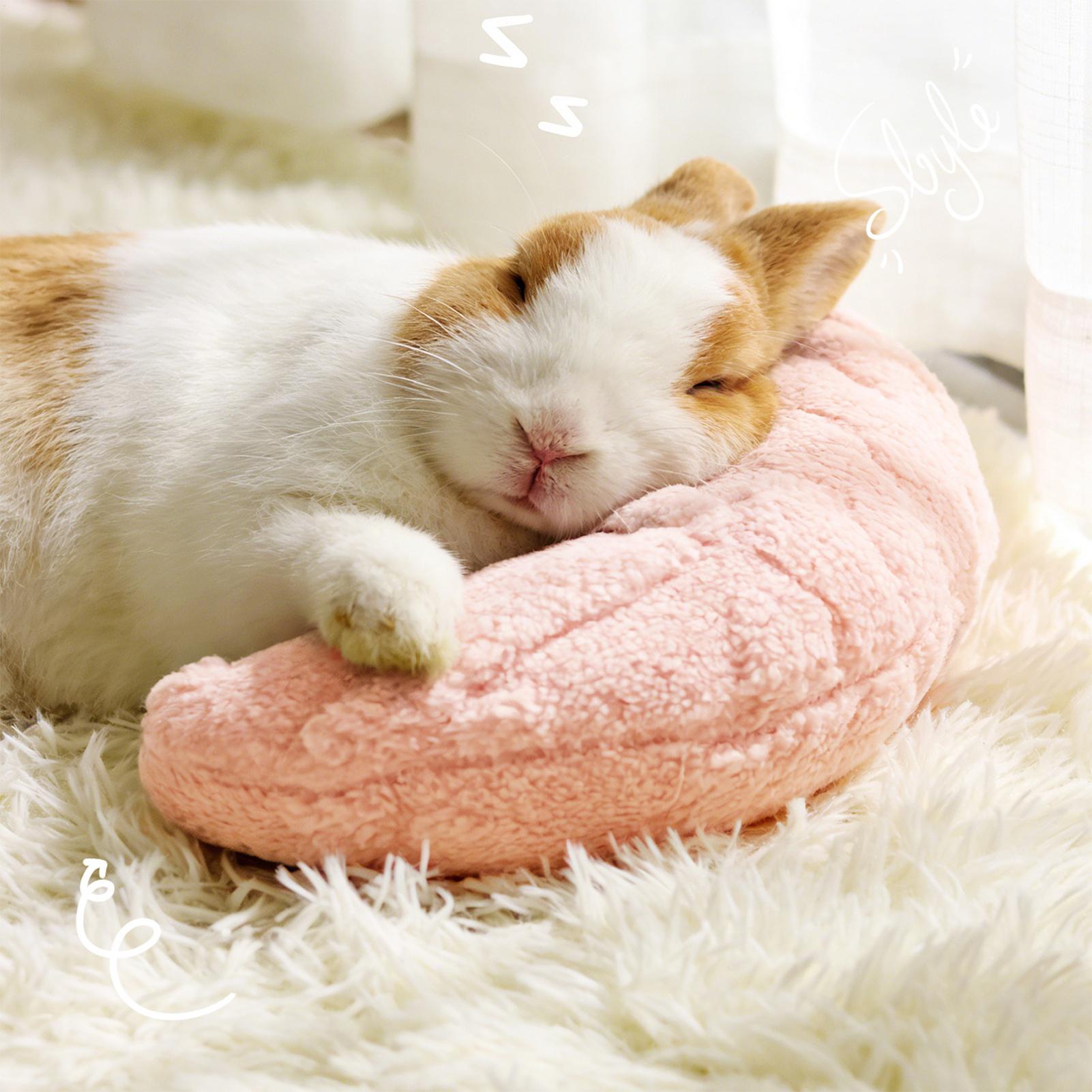 Pet Little Pillow Fashion Neck - огляд і ціна Pet Supplies Nz